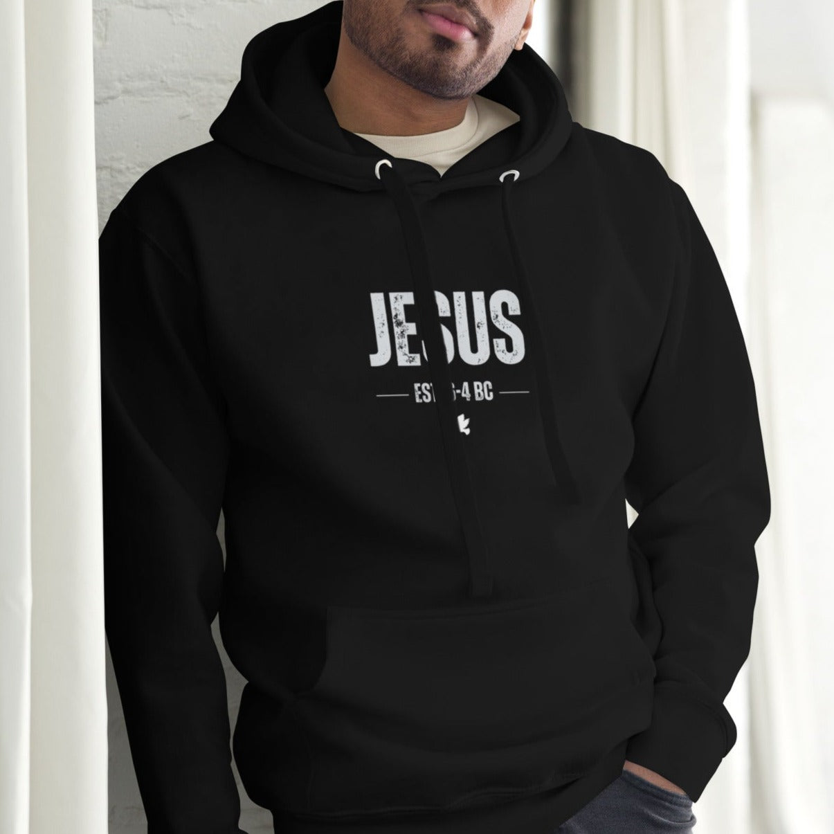 Dane Hoodie.   "JESUS  EST. 6-4 BC"  Choose from 6 colors.