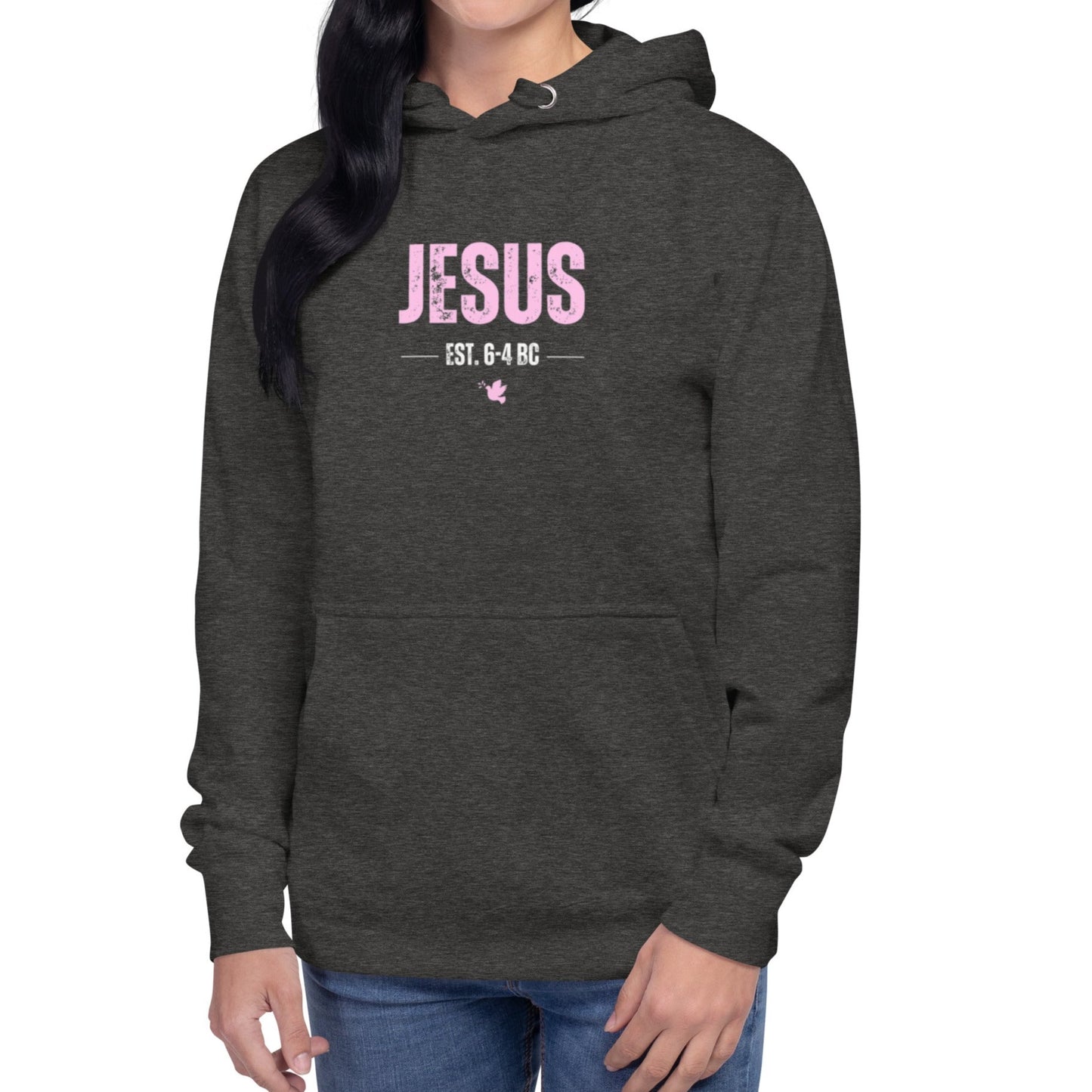 Dane Hoodie.  "JESUS   EST. 6-4 BC"   Choose from 4 colors.