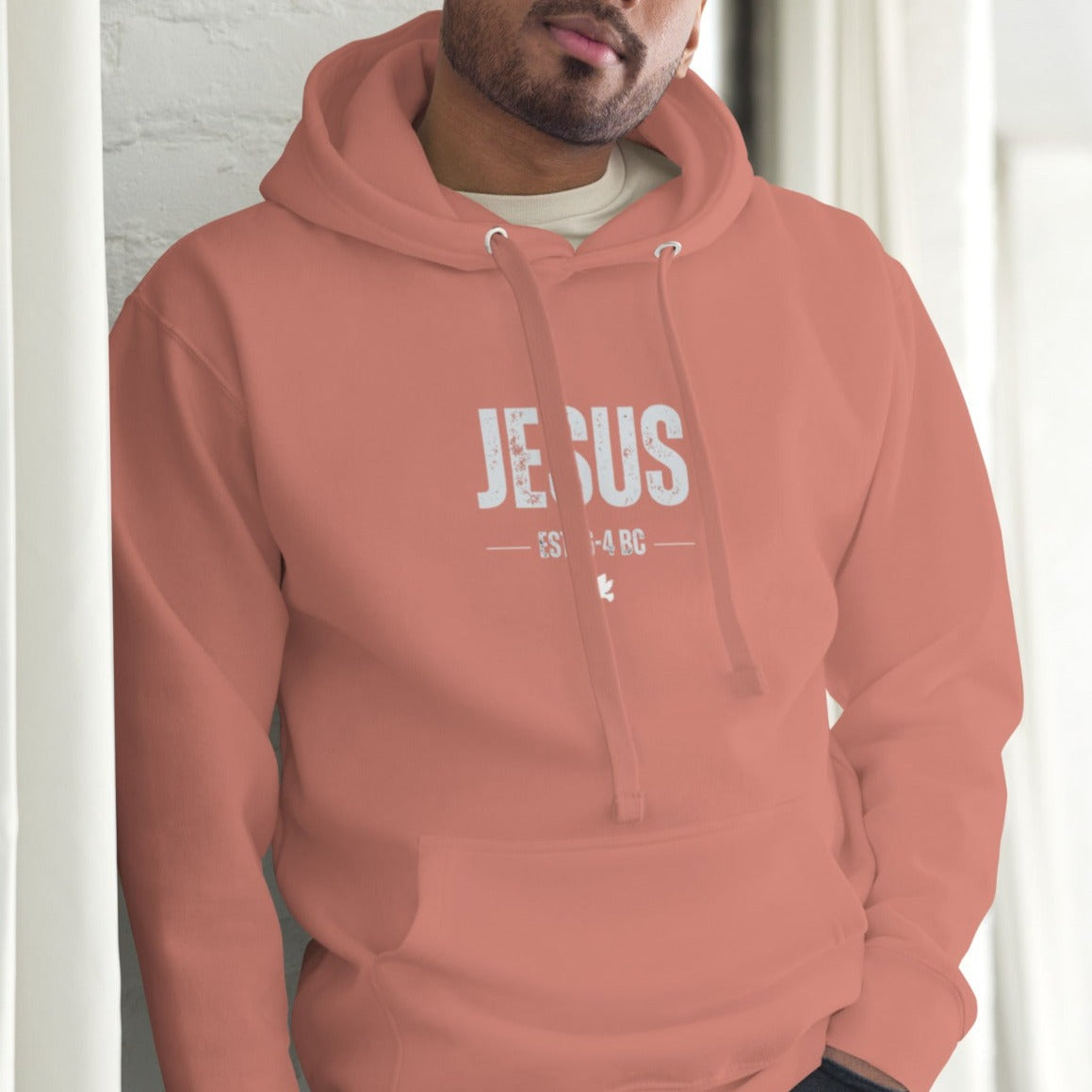 Dane Hoodie.   "JESUS  EST. 6-4 BC"  Choose from 6 colors.