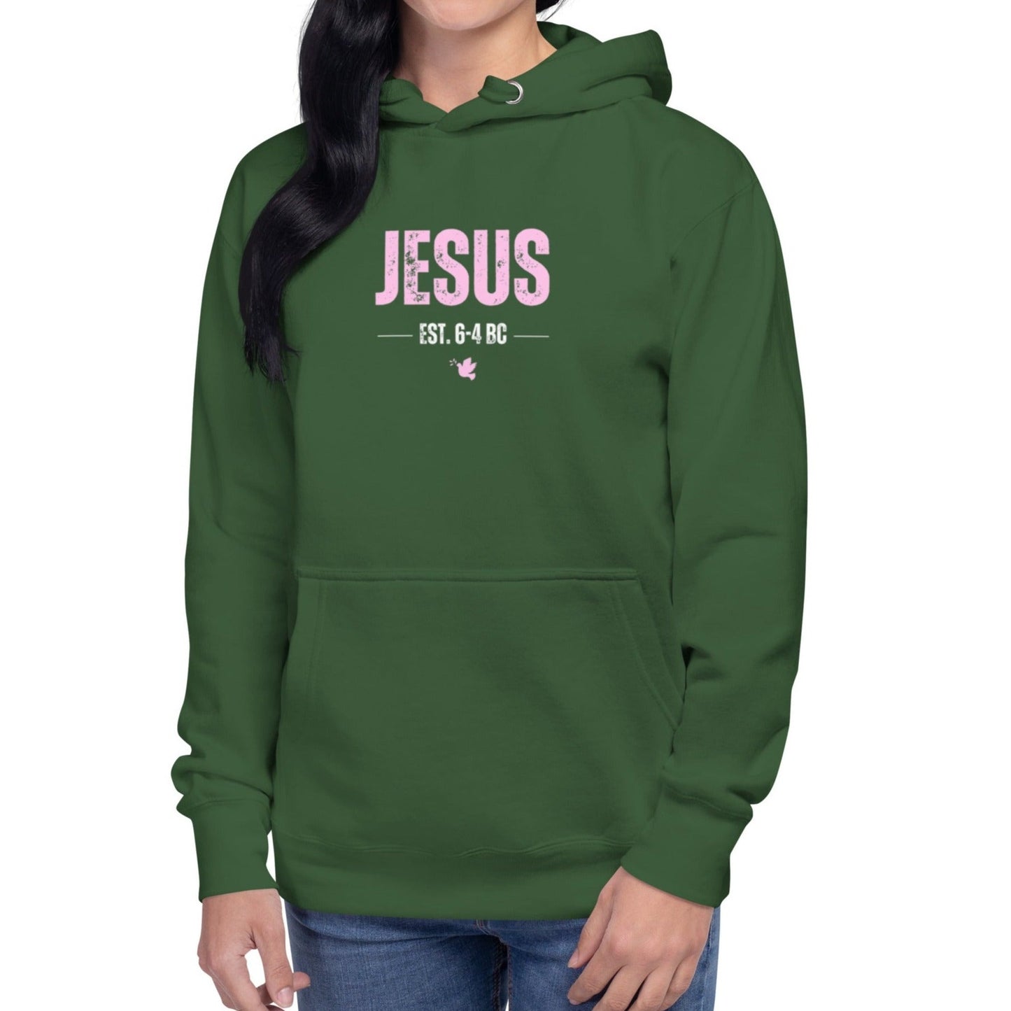 Dane Hoodie.  "JESUS   EST. 6-4 BC"   Choose from 4 colors.