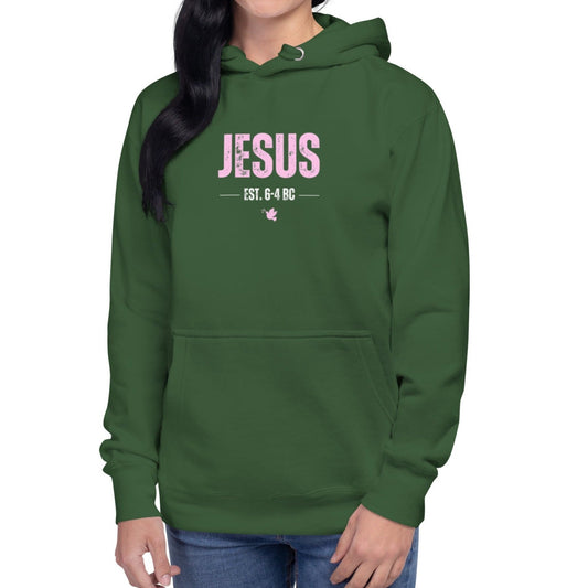 Dane Hoodie.  "JESUS   EST. 6-4 BC"   Choose from 4 colors.