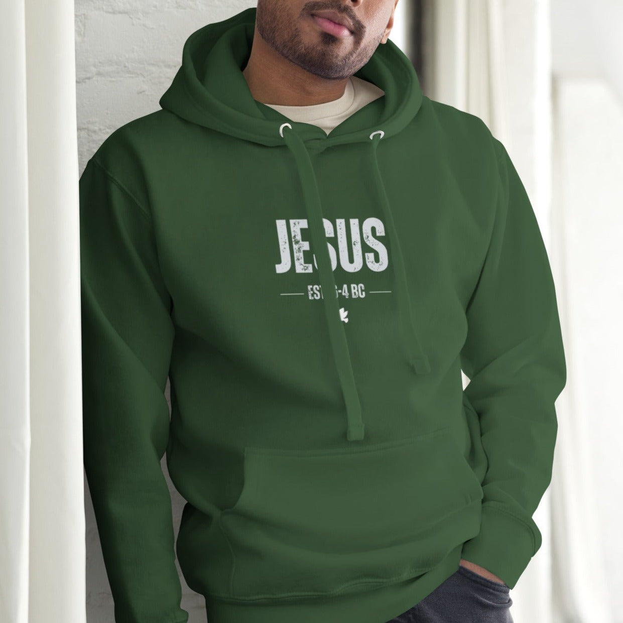 Dane Hoodie.   "JESUS  EST. 6-4 BC"  Choose from 6 colors.