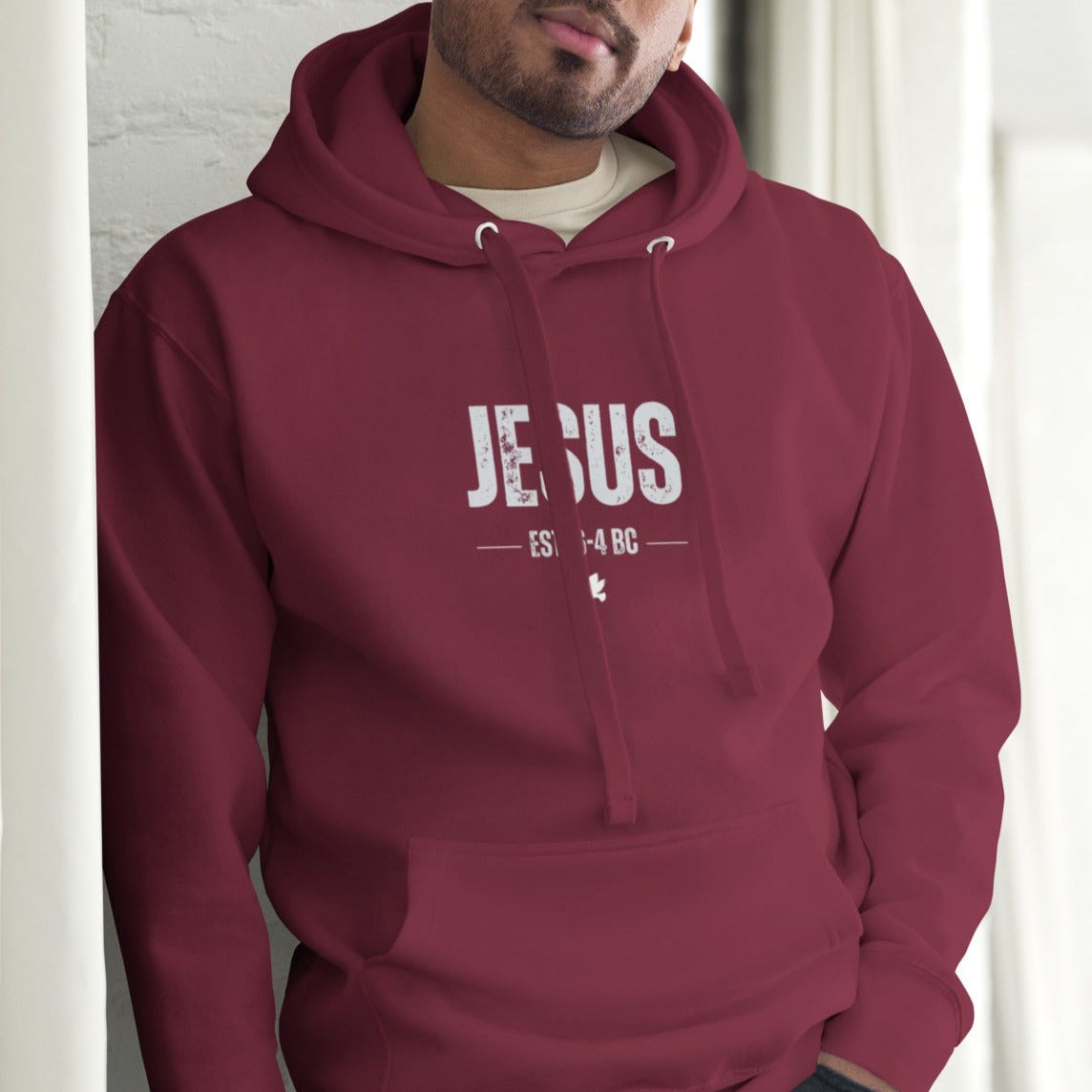 Dane Hoodie.   "JESUS  EST. 6-4 BC"  Choose from 6 colors.