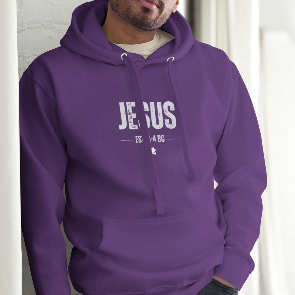 Dane Hoodie.   "JESUS  EST. 6-4 BC"  Choose from 6 colors.