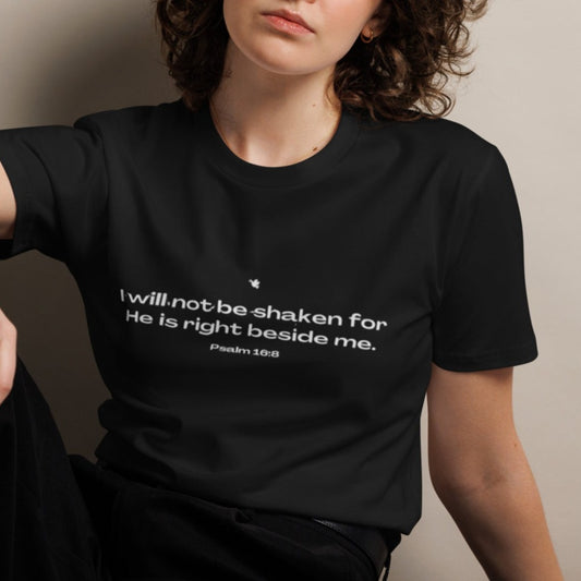 Zyn Classic T-shirt.  "I WILL NOT BE SHAKEN FOR HE IS RIGHT BESIDE ME"  Choose from 3 colors with white print.